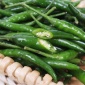 批发**蔬菜绿米椒 **绿米椒 包装散装**蔬菜辣椒